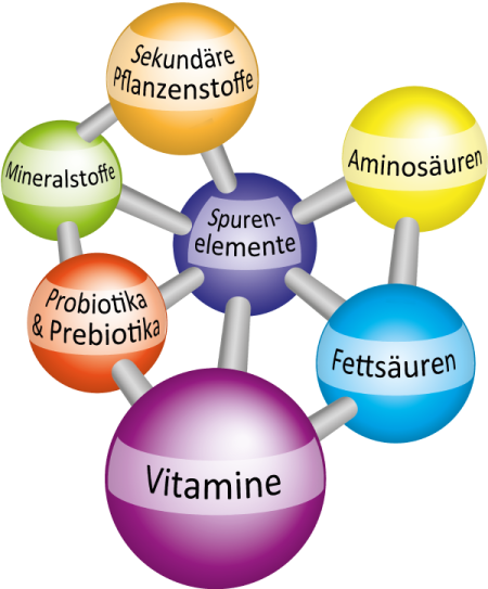 Orthomolekulare Therapie